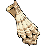 Conk Shell.png